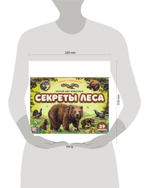 Плакат с окошками. Секреты леса