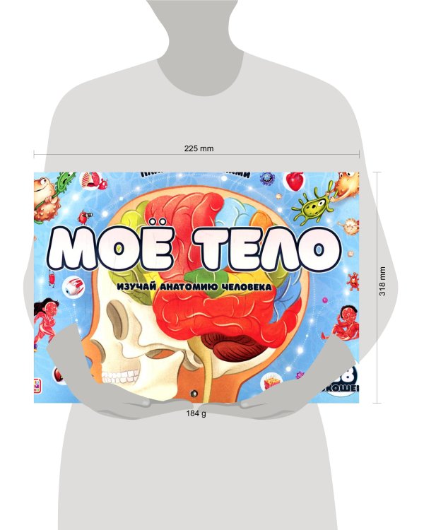 Плакат с окошками. Мое тело