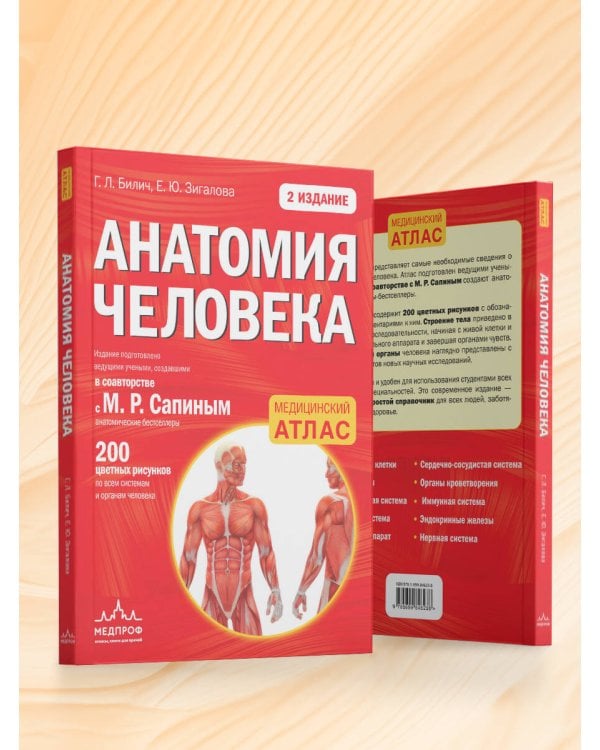 Анатомия человека: 2 издание