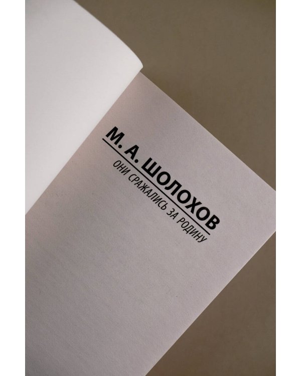 Они сражались за Родину