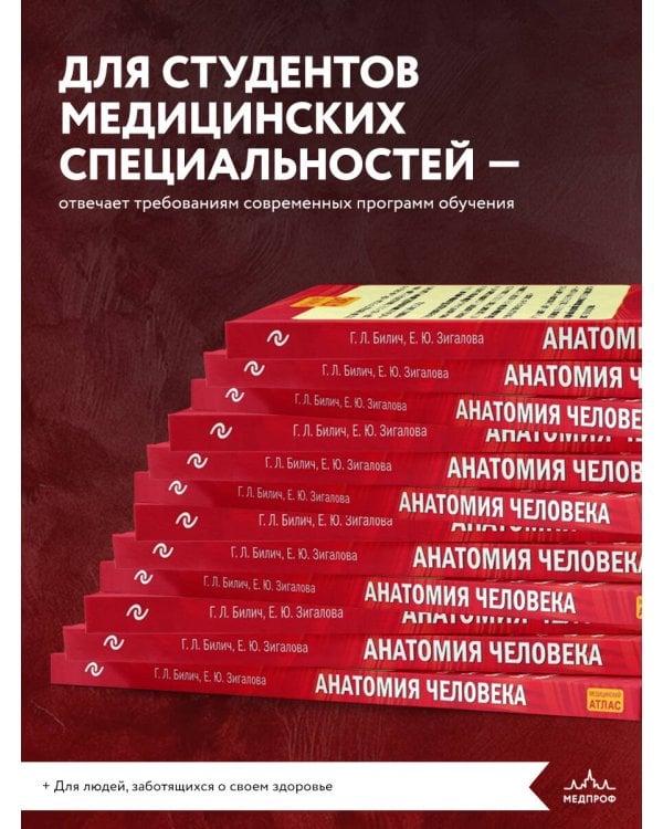 Анатомия человека: 2 издание