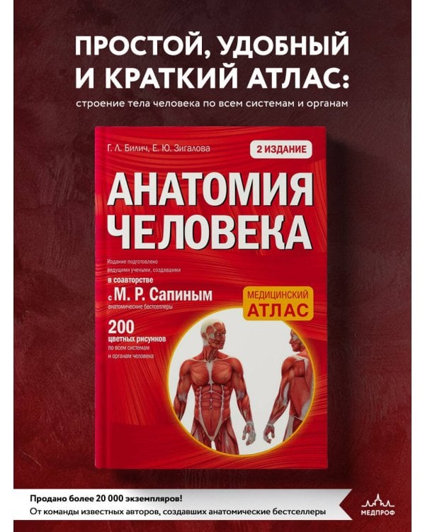 Анатомия человека: 2 издание