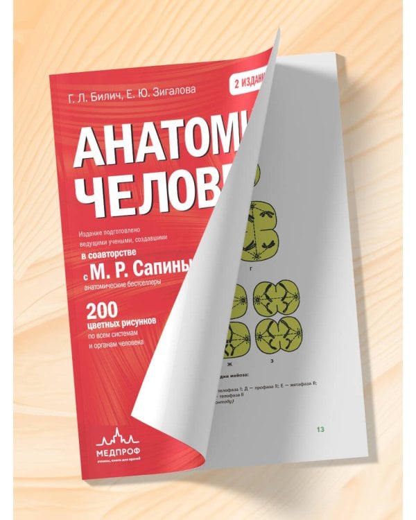 Анатомия человека: 2 издание