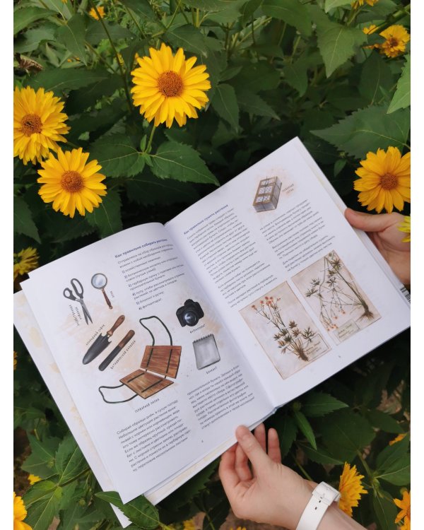 Мой гербарий. Цветы и травы(переупак)