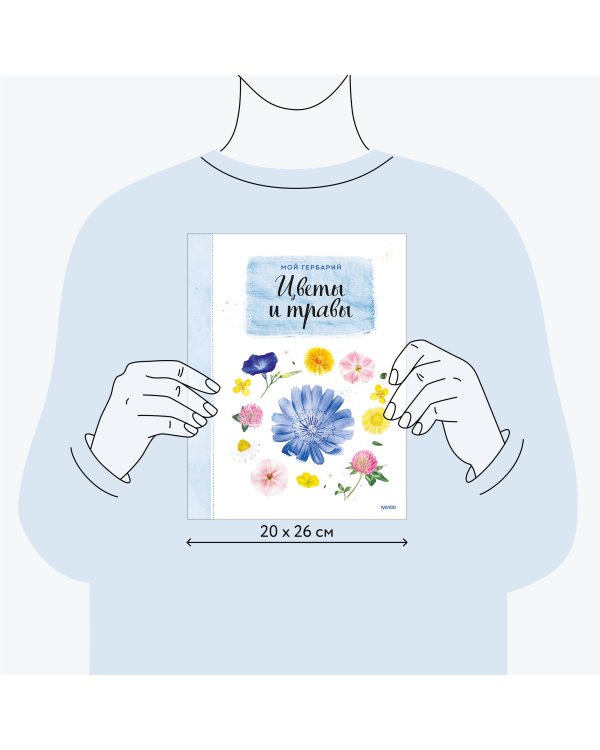 Мой гербарий. Цветы и травы(переупак)