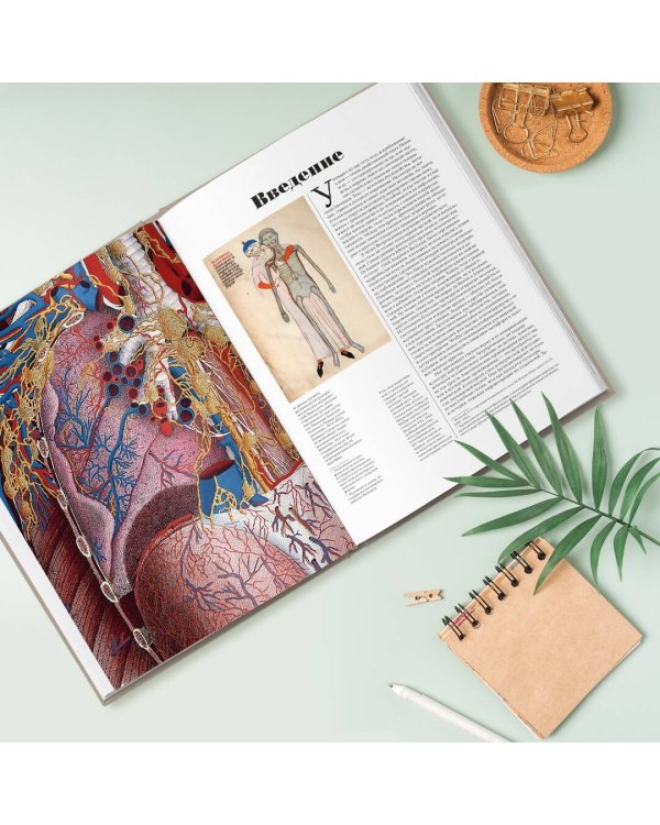 Анатомика. От ужасного до великого: человеческое тело в искусстве