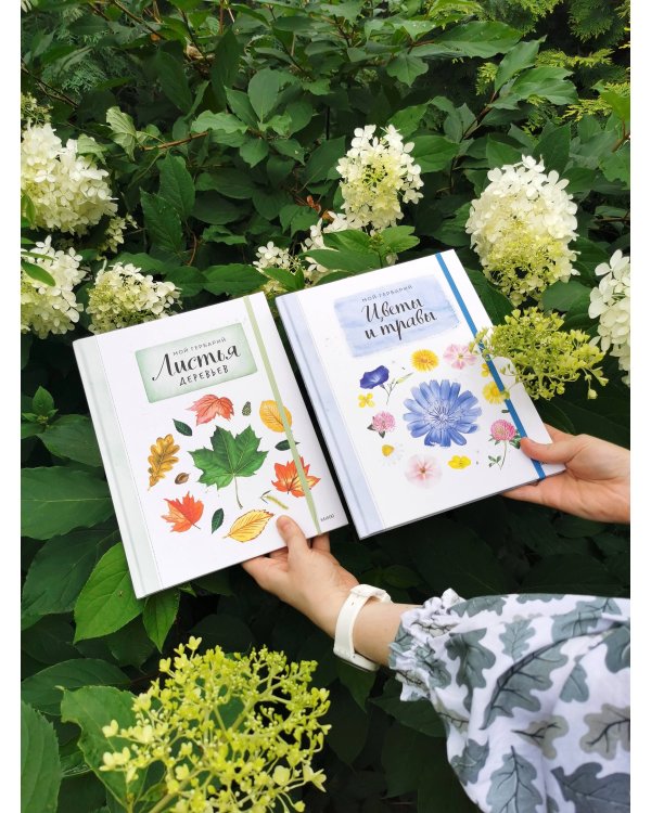 Мой гербарий. Цветы и травы(переупак)