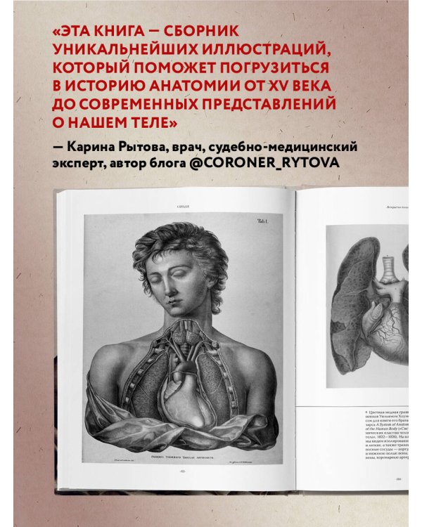 Анатомика. От ужасного до великого: человеческое тело в искусстве