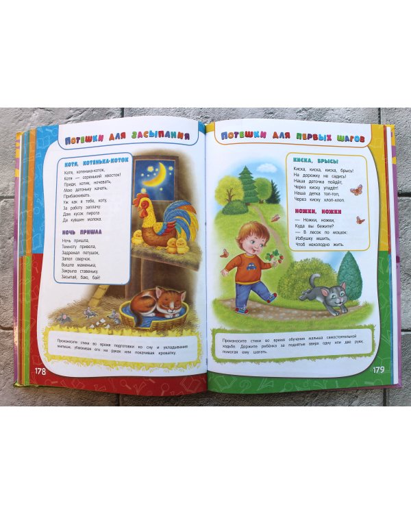 Годовой курс занятий: для детей от рождения до года (+аудиозаписи для малыша)