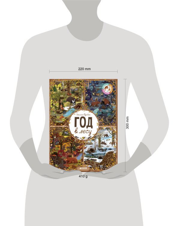 Год в лесу. Найди и покажи (нов.) 3351 ВВИ