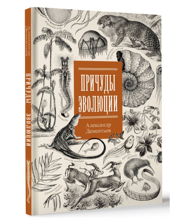 Причуды эволюции