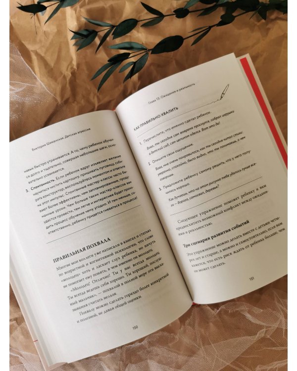 Детская агрессия