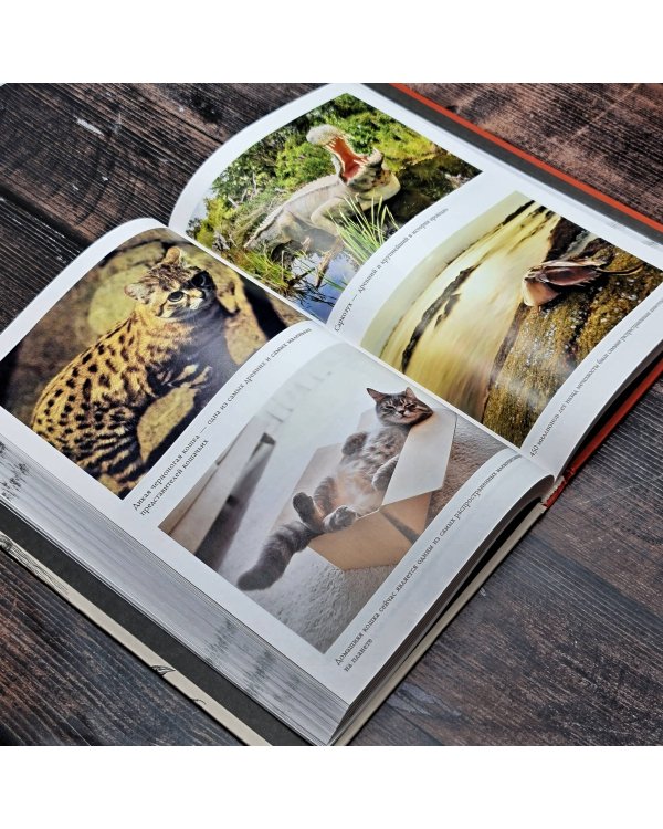 Причуды эволюции