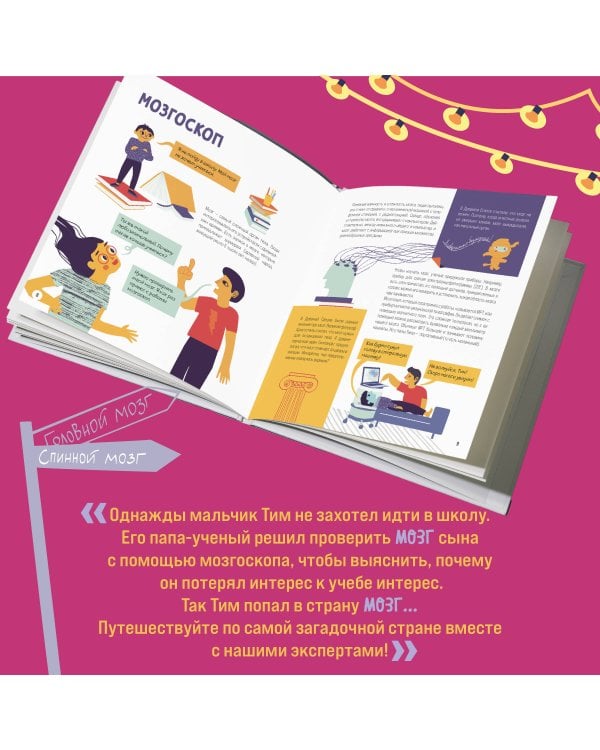 Приключения Тима в стране Мозг