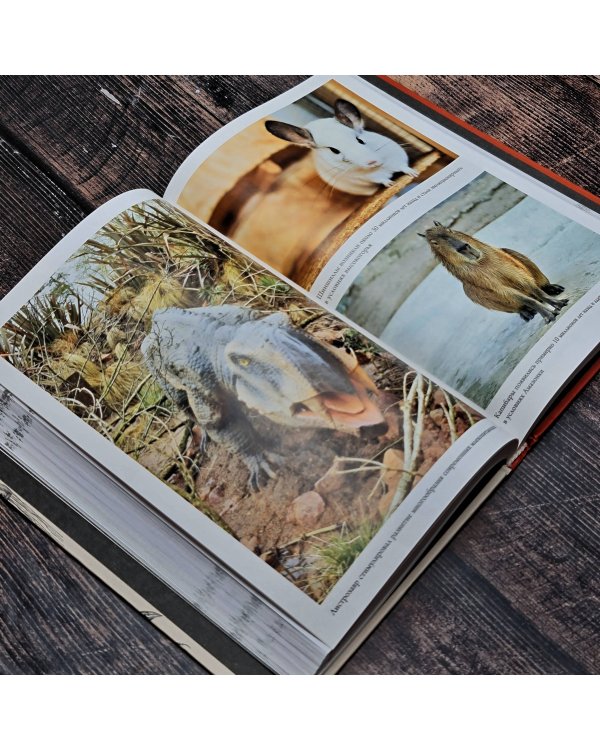 Причуды эволюции