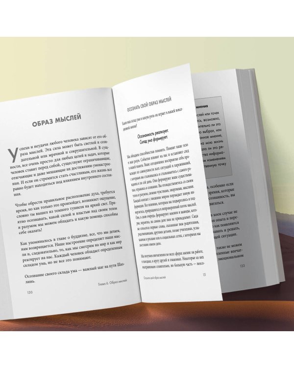 Путь Шаолиня. Как древние знания помогают нам обрести внутреннюю силу