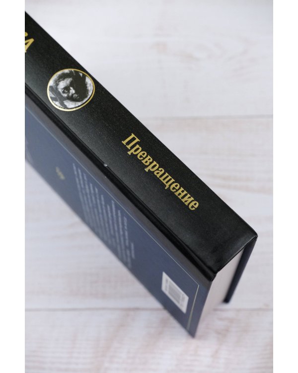 Похождения бравого солдата Швейка