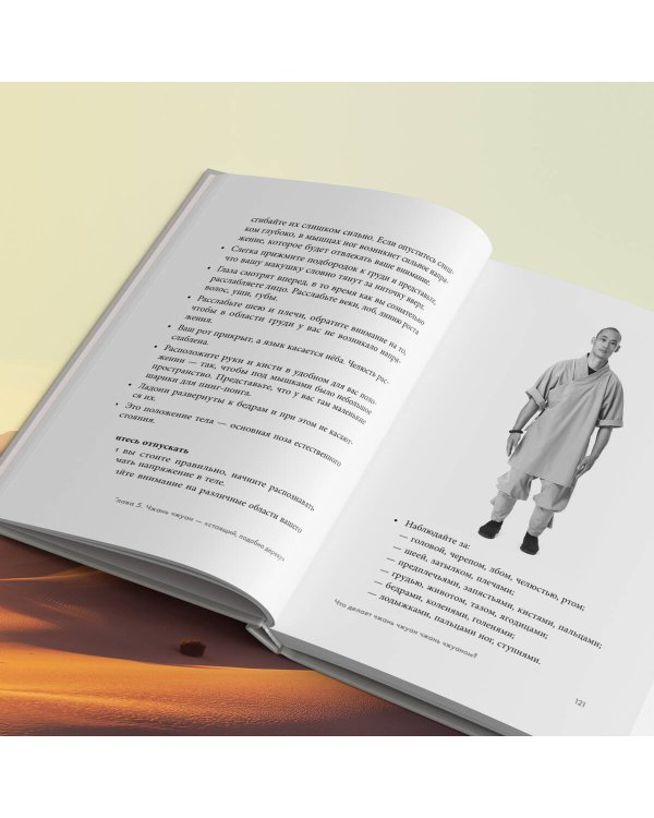 Путь Шаолиня. Как древние знания помогают нам обрести внутреннюю силу