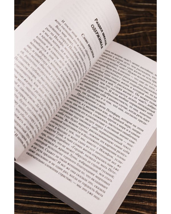 Иосиф и его братья. Том 2