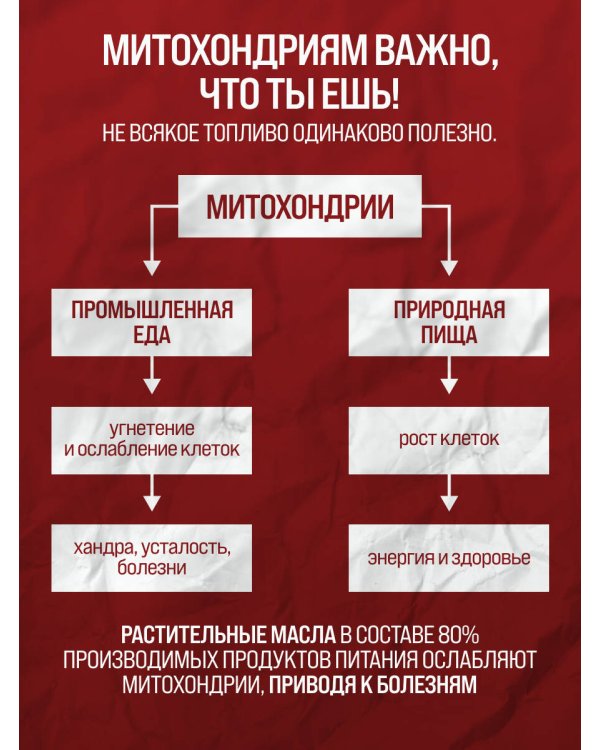 Парадокс питания. Как еда меняет наш мозг