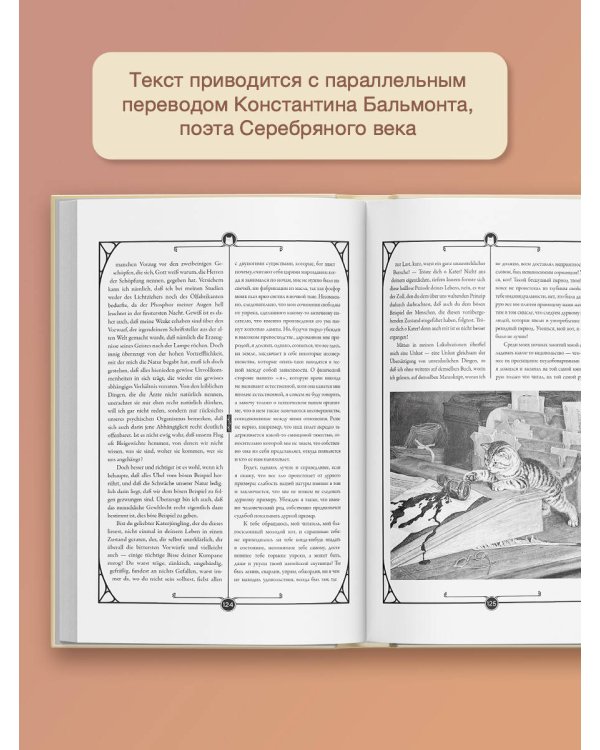 Житейские воззрения кота Мурра = Lebens-Ansichten des Katers Murr