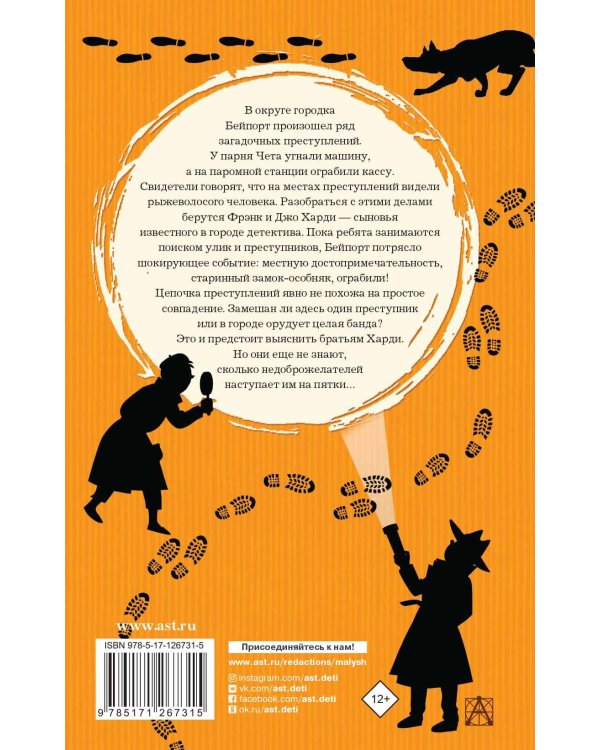 Братья Харди и сокровища башни