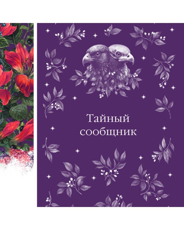 Набор: Элегантная мистика-2 (из 4-х книг: Тайное поклонение, Призрак Оперы, Франкенштейн, Тайный сообщник)