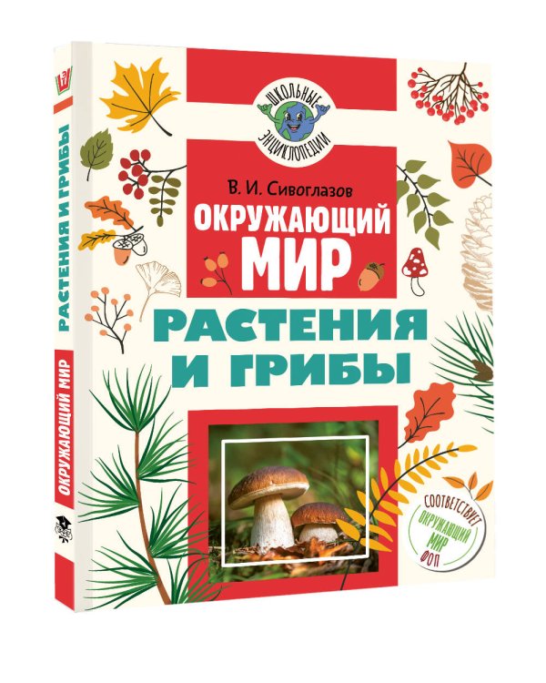 Окружающий мир. Растения и грибы