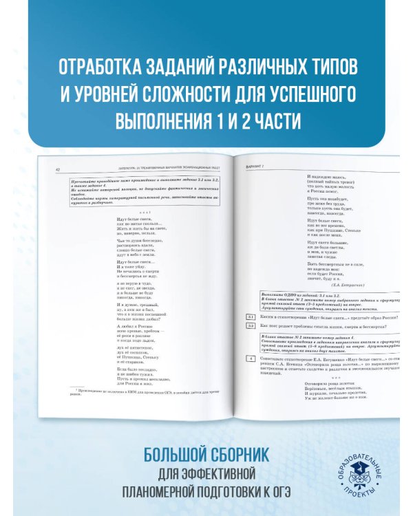 ОГЭ-2026. Литература.20 тренировочных вариантов экзаменационных работ для подготовки к основному государственному экзамену