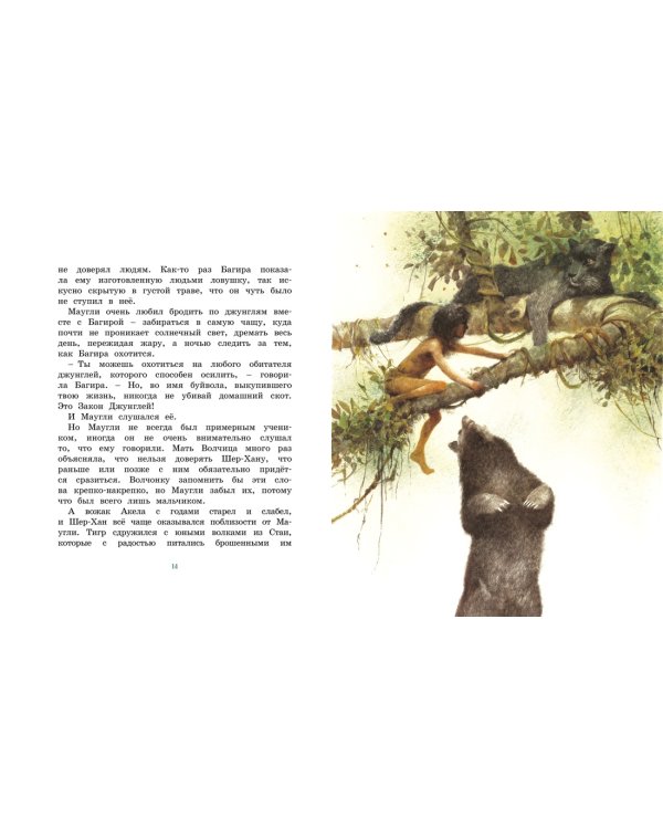 История Маугли