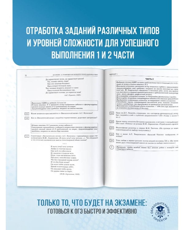 ОГЭ-2026. Литература.10 тренировочных вариантов экзаменационных работ для подготовки к основному государственному экзамену