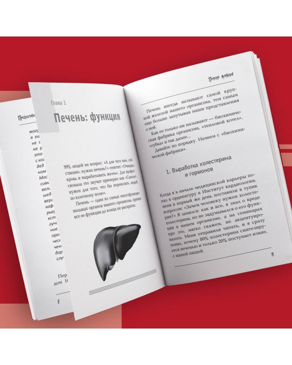 Печень. Все, что нужно знать о ее здоровье