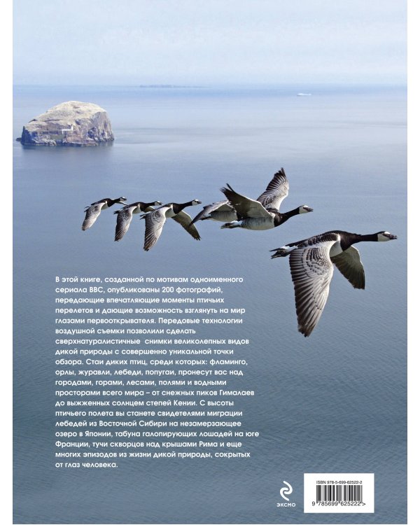 Мир с высоты птичьего полета