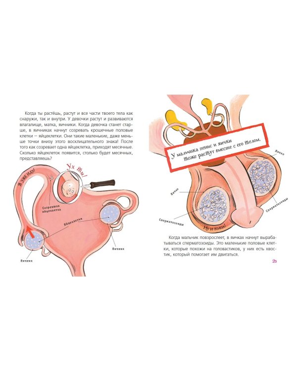 Наш первый разговор об ЭТОМ. Только для детей! (под ред. Е. Макаровой)
