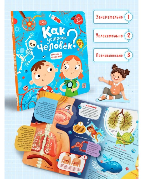 Книжка с окошками. Как устроен человек?