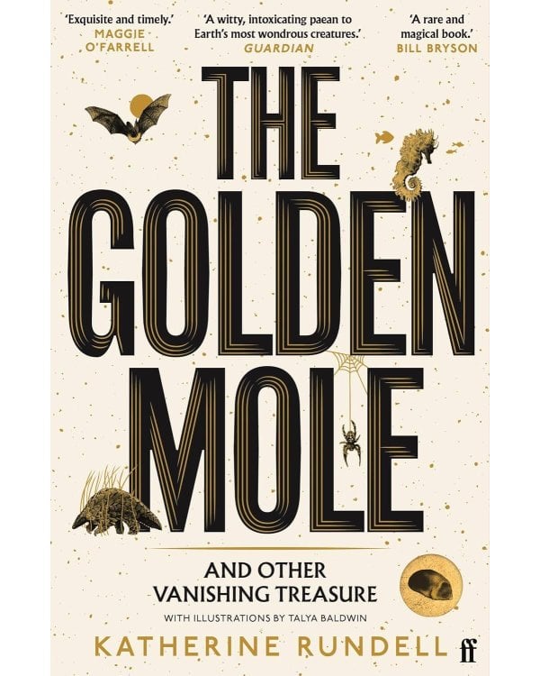 Golden mole (Katherine Rundell) Золотой крот (Кэтрин Ранделл) /Книги на английском языке