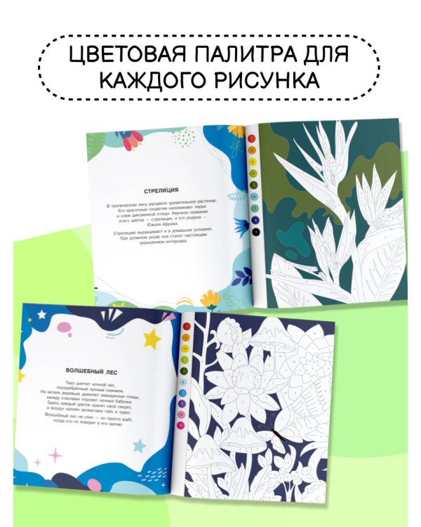 Цветы и бабочки