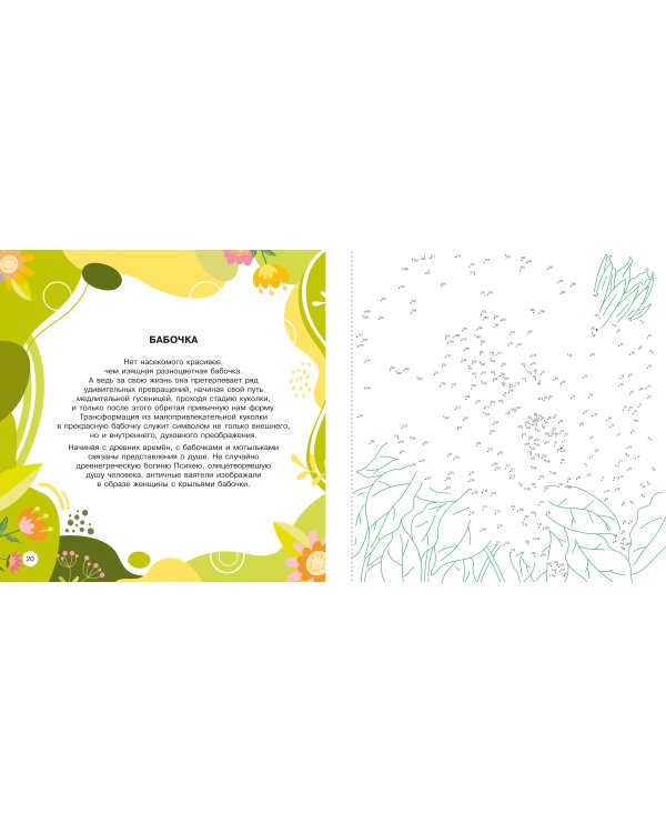 Цветы и бабочки