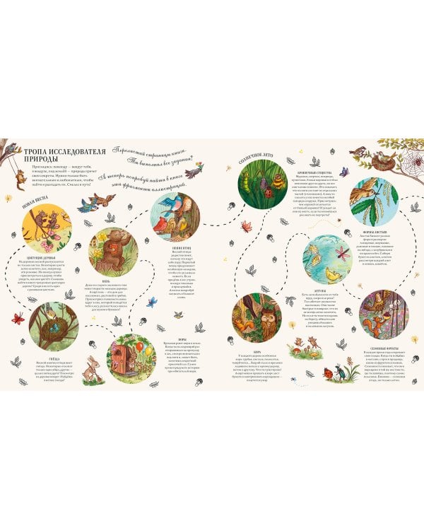 Круглый год в лесу. Виммельбух