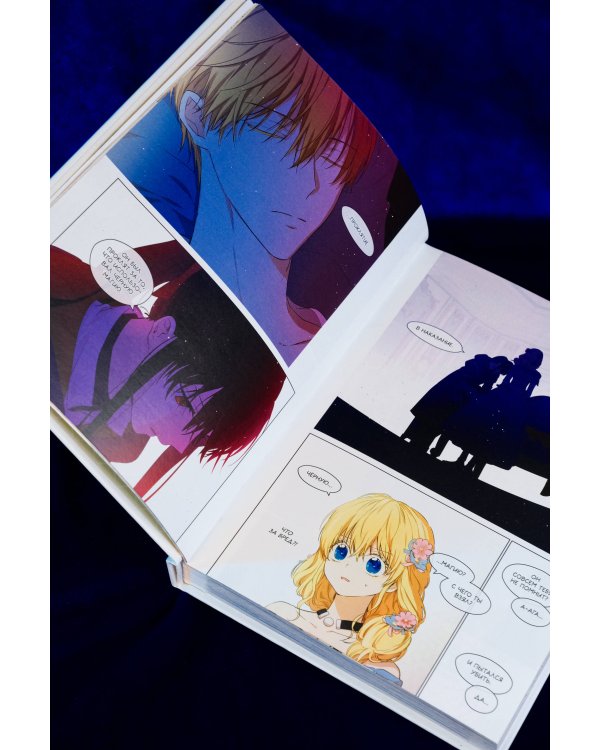 Однажды я стала принцессой. Том 6 (вебтун)