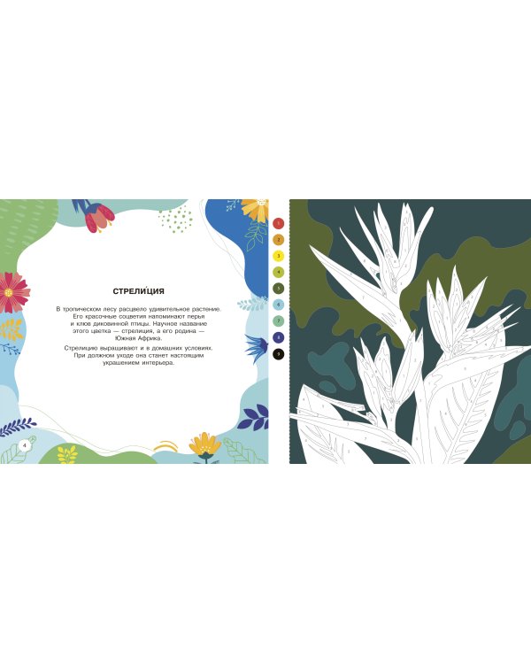 Цветы и бабочки