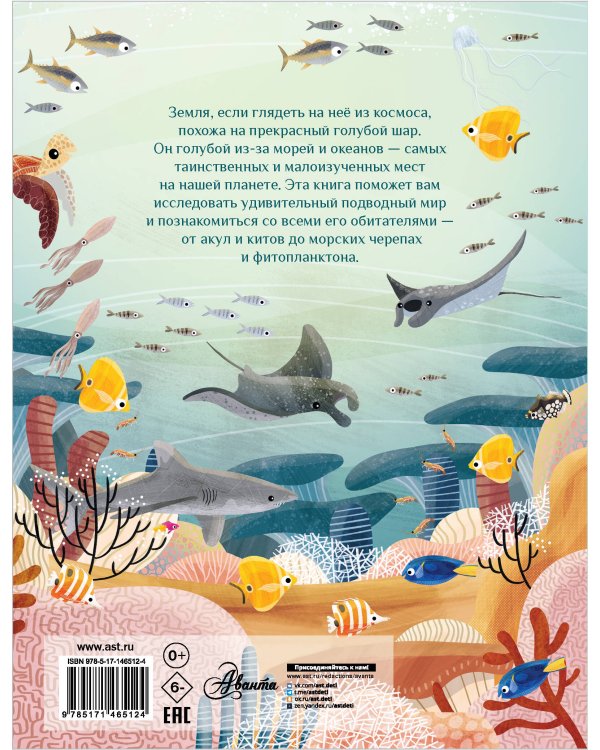 Путеводитель по подводному миру