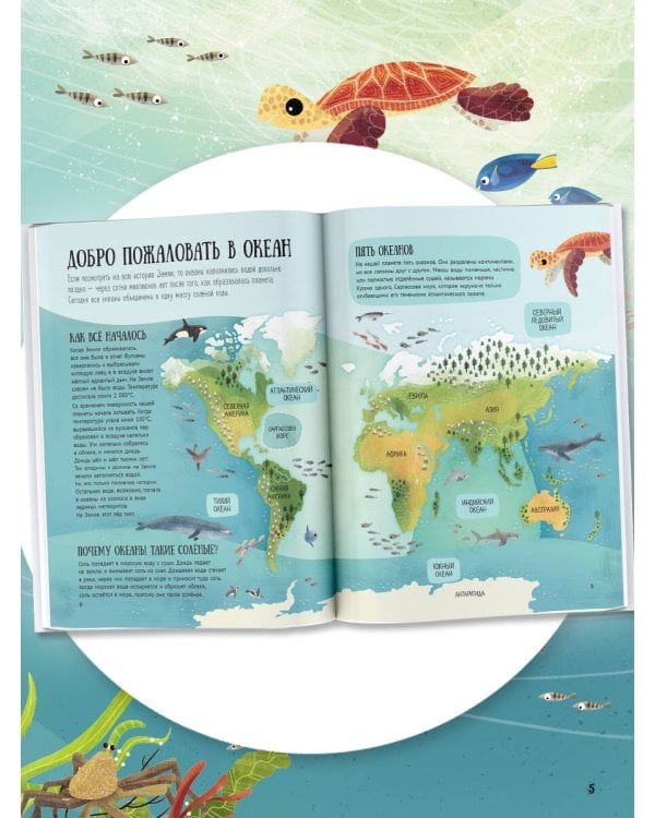 Путеводитель по подводному миру