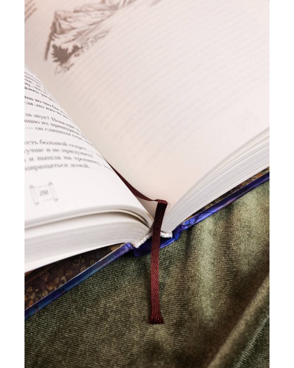 Крылья золотой птицы. Гоцюй