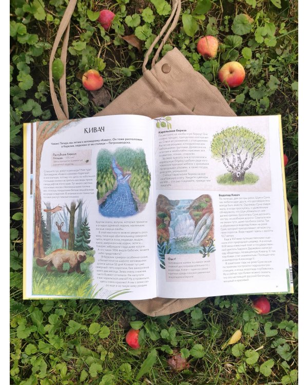 Заповедники России