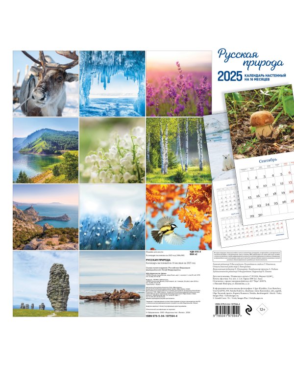 Русская природа. Календарь настенный на 16 месяцев на 2025 год (300х300 мм)