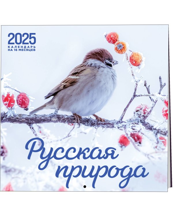 Русская природа. Календарь настенный на 16 месяцев на 2025 год (300х300 мм)