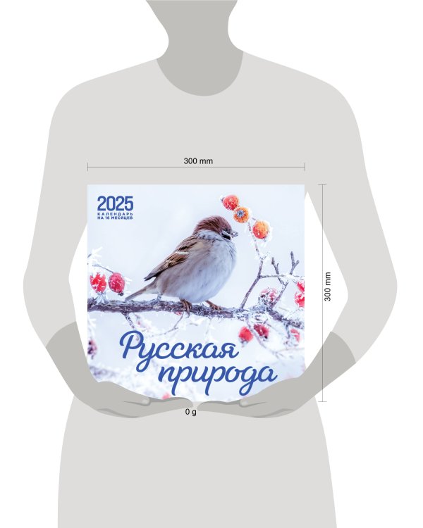 Русская природа. Календарь настенный на 16 месяцев на 2025 год (300х300 мм)