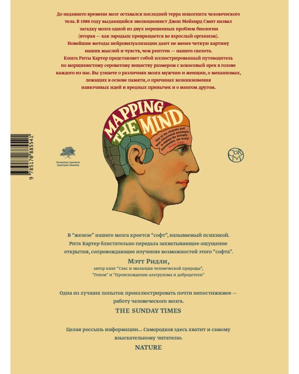 Как работает мозг