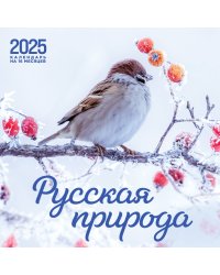 Русская природа. Календарь настенный на 16 месяцев на 2025 год (300х300 мм)